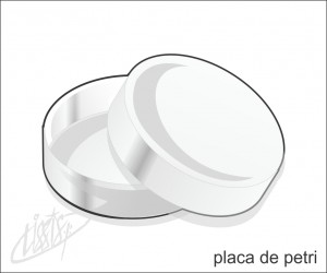 vidrarias de laboratório - placa de petri