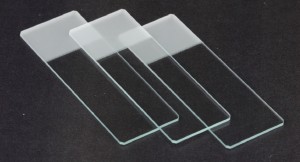 Lâmina é uma placa de vidro de espessura aproximada de 0,3 mm, que serve para fixar qualquer estrutura microscópica. 