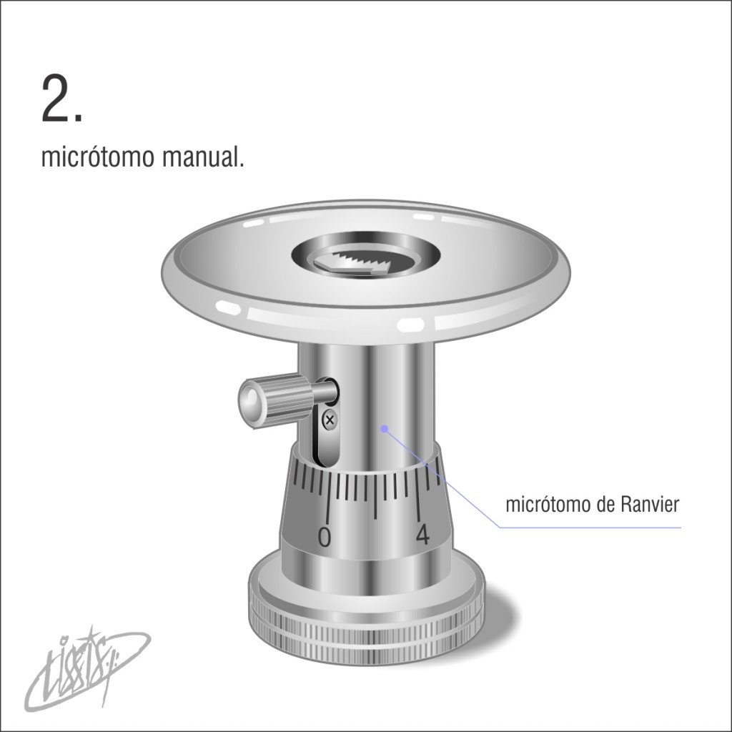 micrótomo manual 02