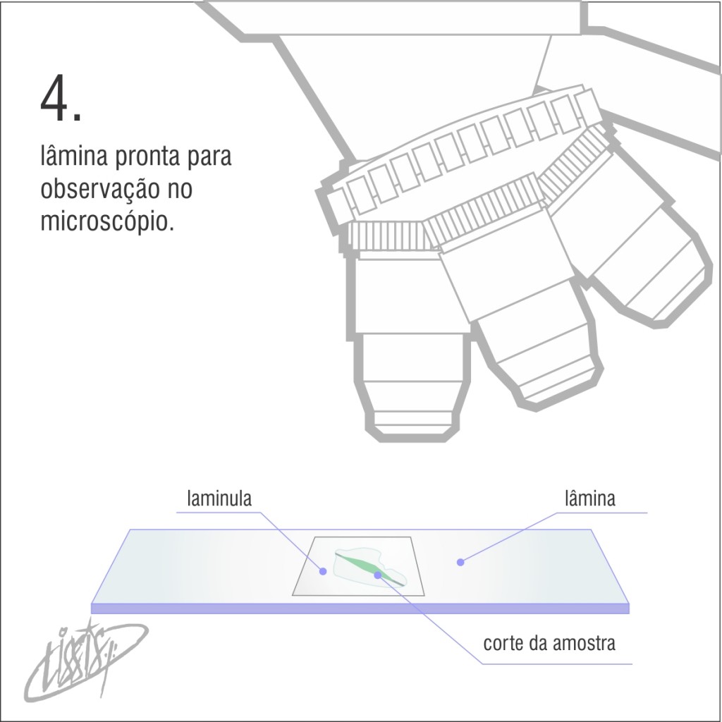 micrótomo manual 05