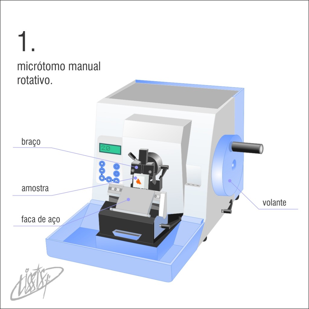 micrótomo manual rotativo 01