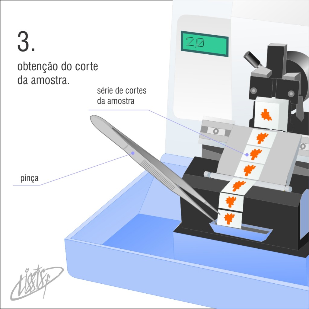 micrótomo manual rotativo 03