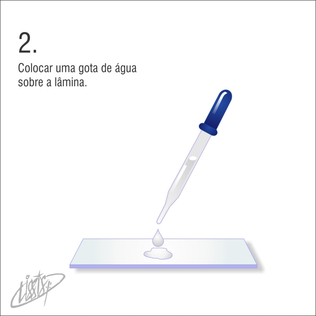 observação de letras - gota d'agua