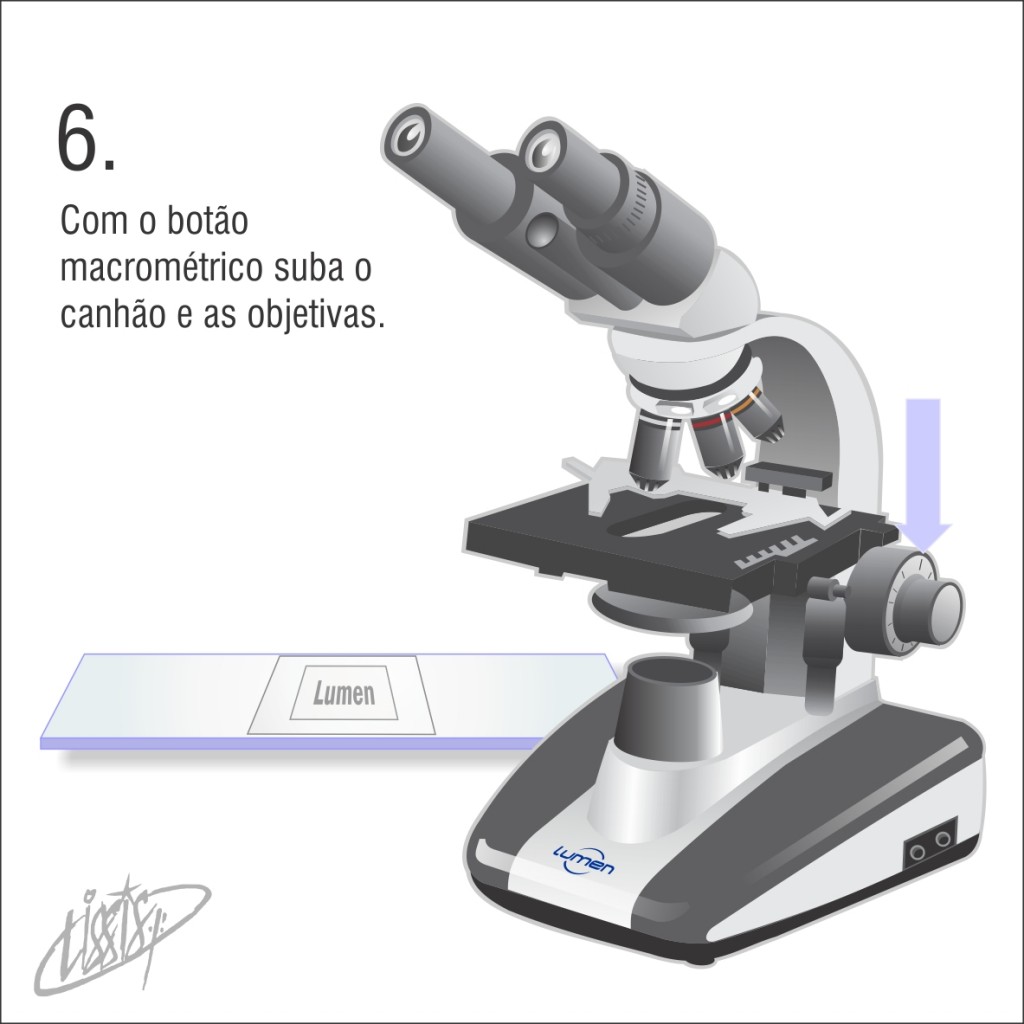 observação de letras - botão macrométrico