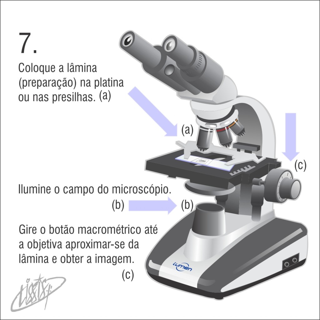 observação de letras - lâmina na platina