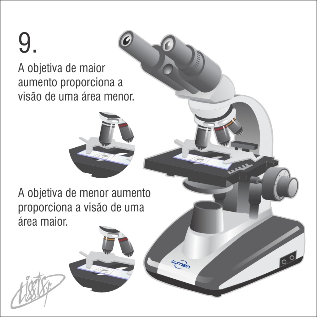 observação de letras - objetivas