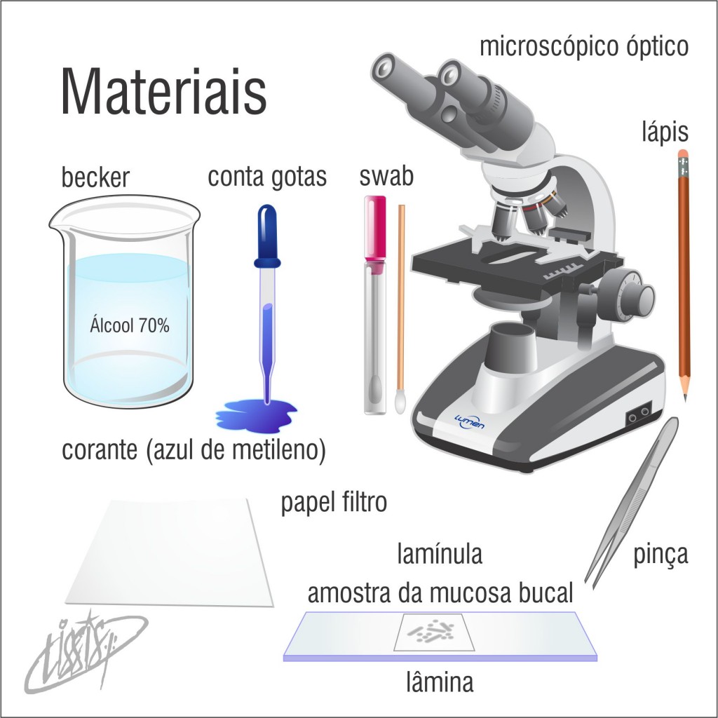 observação de saliva - materiais