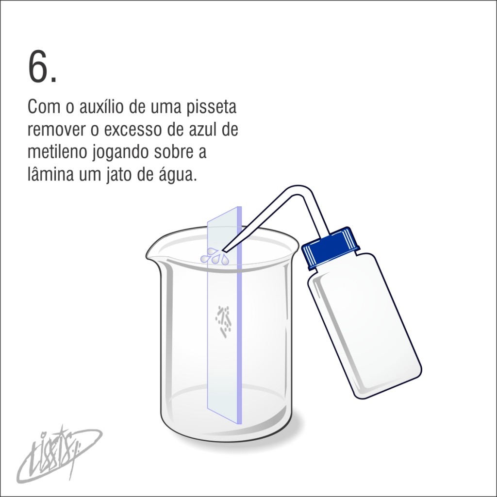 observação de saliva 06