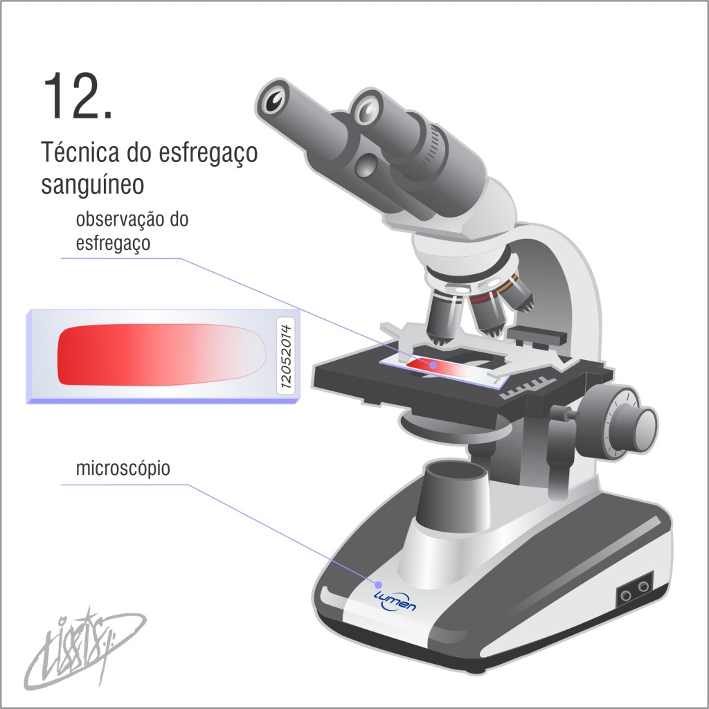 técnica de esfregaço 12