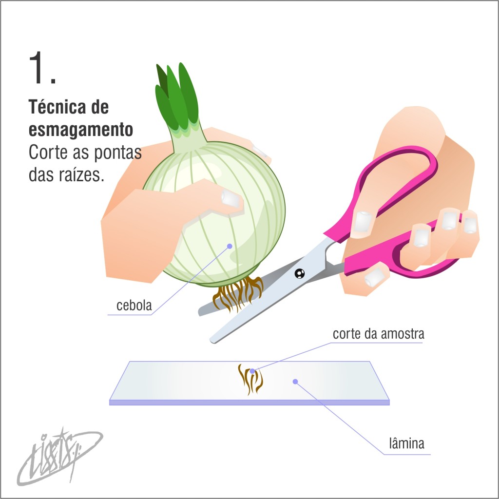 técnica de esmagamento 01