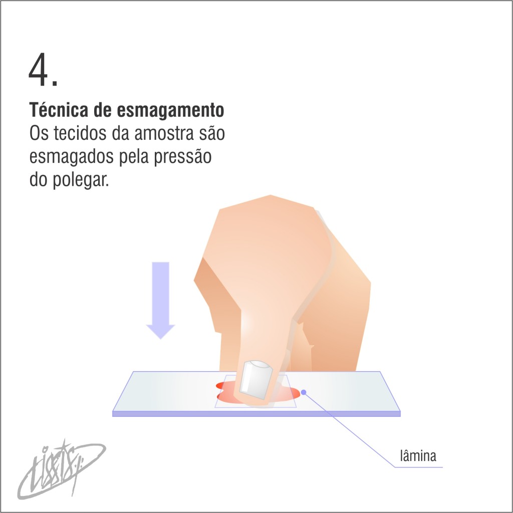 técnica de esmagamento 04