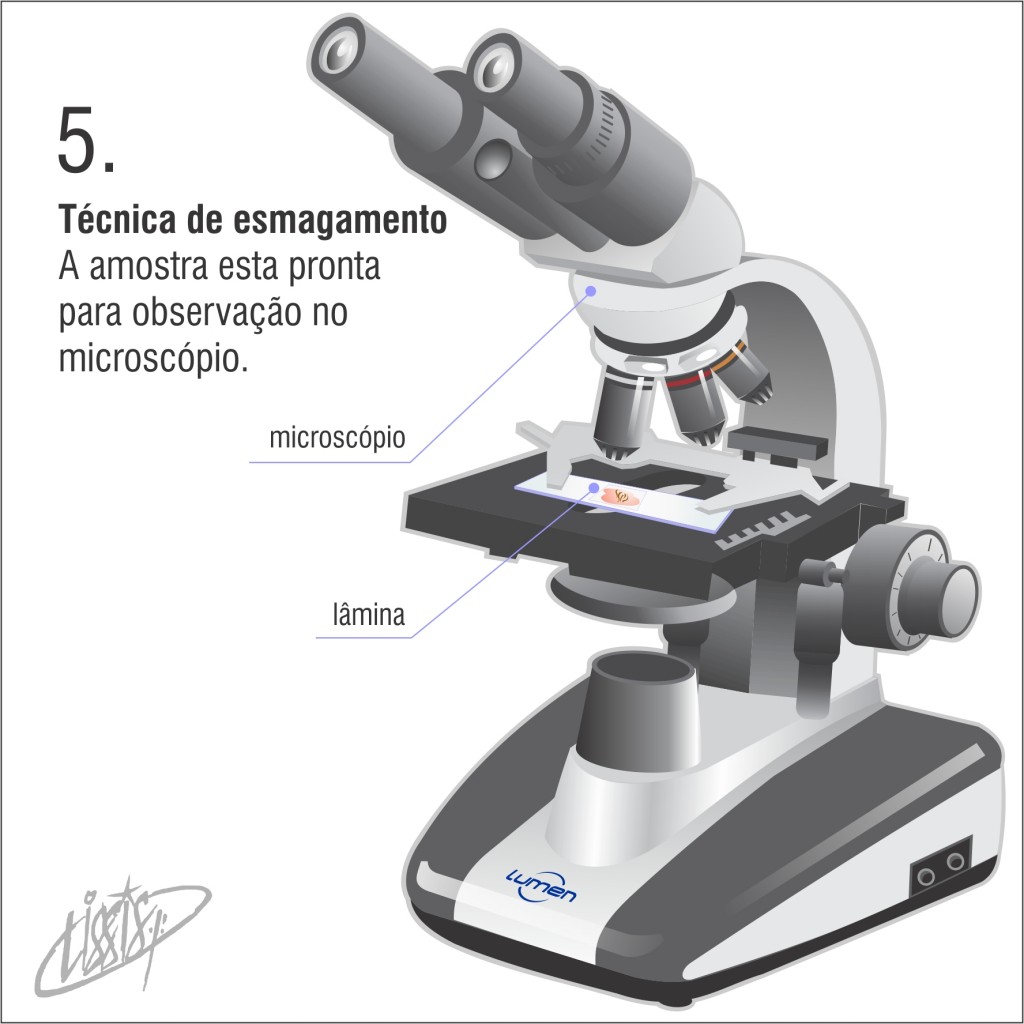 técnica de esmagamento 05